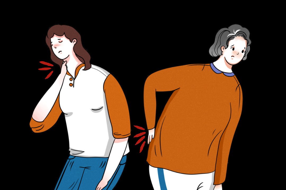 骨骼|这样饮食，骨骼常年轻！