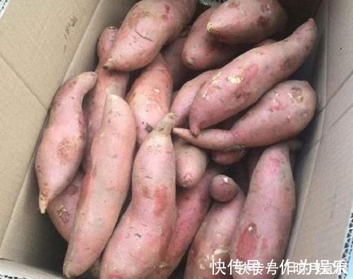 大错|保存红薯，直接丢地上是大错！学会这招，放半年都不坏，越放越甜