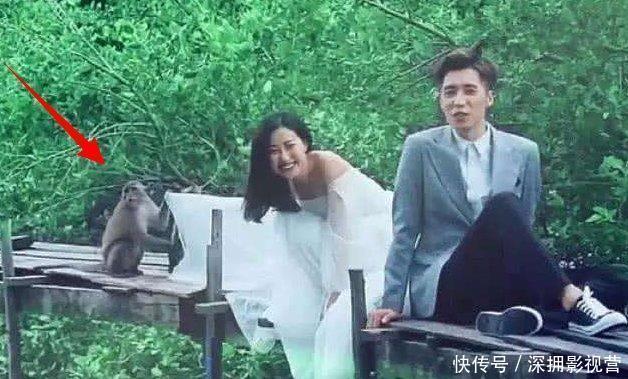 新娘花3万拍摄婚纱照,猴子突然钻进裙底,没想到成品惊艳四座!