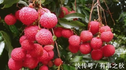 荔枝|坚持长期吃3种食物，健康长寿会“爱上你”，多位老人的经验！