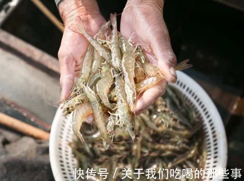 商贩|市场上的5种虾,被列为“问题虾”,很多人爱买,牢记3点避免被坑