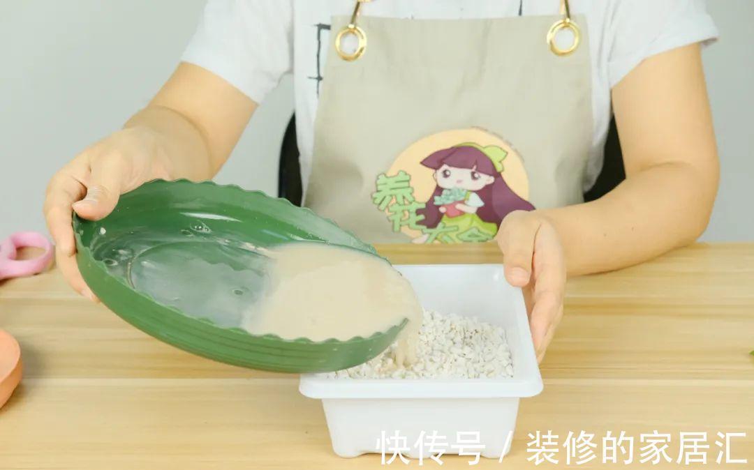 6种花别养老桩,越老越不开花,赶紧扦插备份