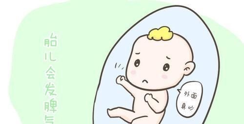 准妈妈|孕妈们有没有好奇过胎宝宝在肚子里都干什么?看完后,真的超忙!