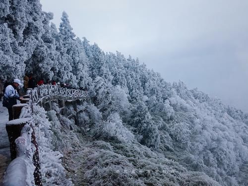 衡山|祈福圣地衡山成人间仙境，南国雾凇离广东仅2小时，游客：大美！