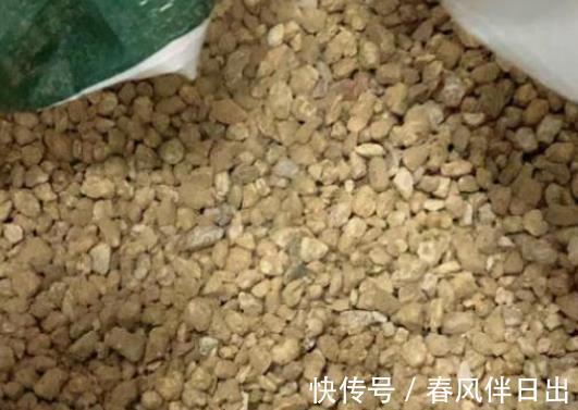 多肉|养植多肉,如何配土?