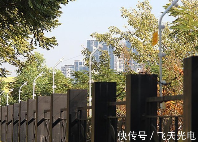 220v|小偷飞檐走壁难防范？围墙安装上一套“宝贝”，从此绕着你家走