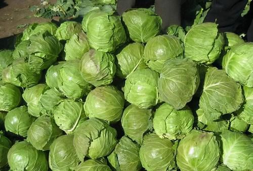 食物|吃了都好的食物，坚持多吃，能排毒抗衰，养护血管，营养又健康