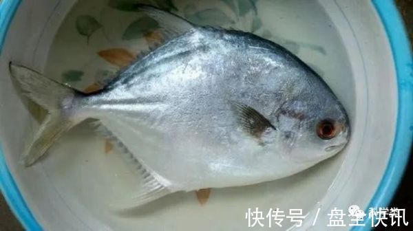 11个生活冷知识发错的语音消息还能这样撤回