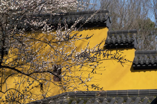 中年|在杭州灵隐寺隔壁，还有个免门票的永福寺，少有人知却值得一去