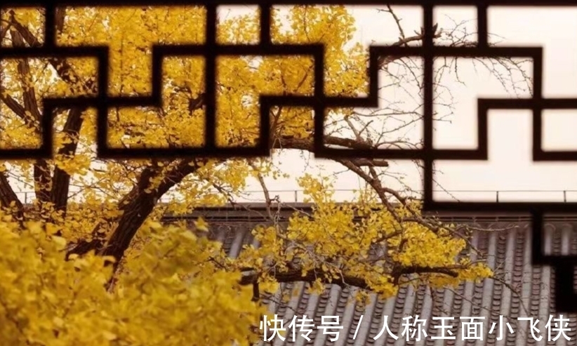 李清照$诗词:细品生活多滋味,此后快活似神仙