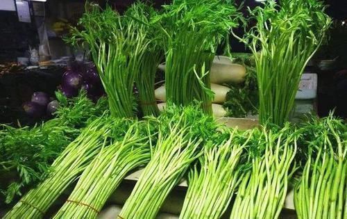 这种野草,吃了能抵7瓶牛奶,路边一丛丛,可惜都不认识