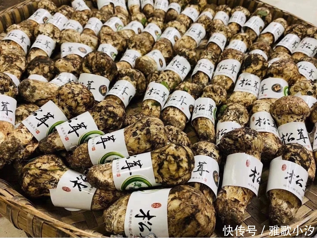 美国|美国有蓝鳍金枪鱼，日本有和牛，中国顶级食材是啥？网友满分回答