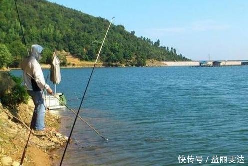 小鱼|钓鱼高手不会告诉你的诱饵与技巧,小鱼不闹窝,大鱼全上钩!