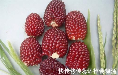 清热|聪明人都爱吃的3种食物,排毒养颜,清热去燥,保护视力,更健康