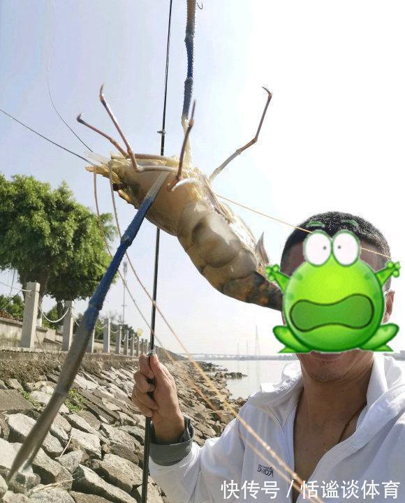 河虾|福建钓鱼人,闽江钓起罕见“巨虾”,身长近一米