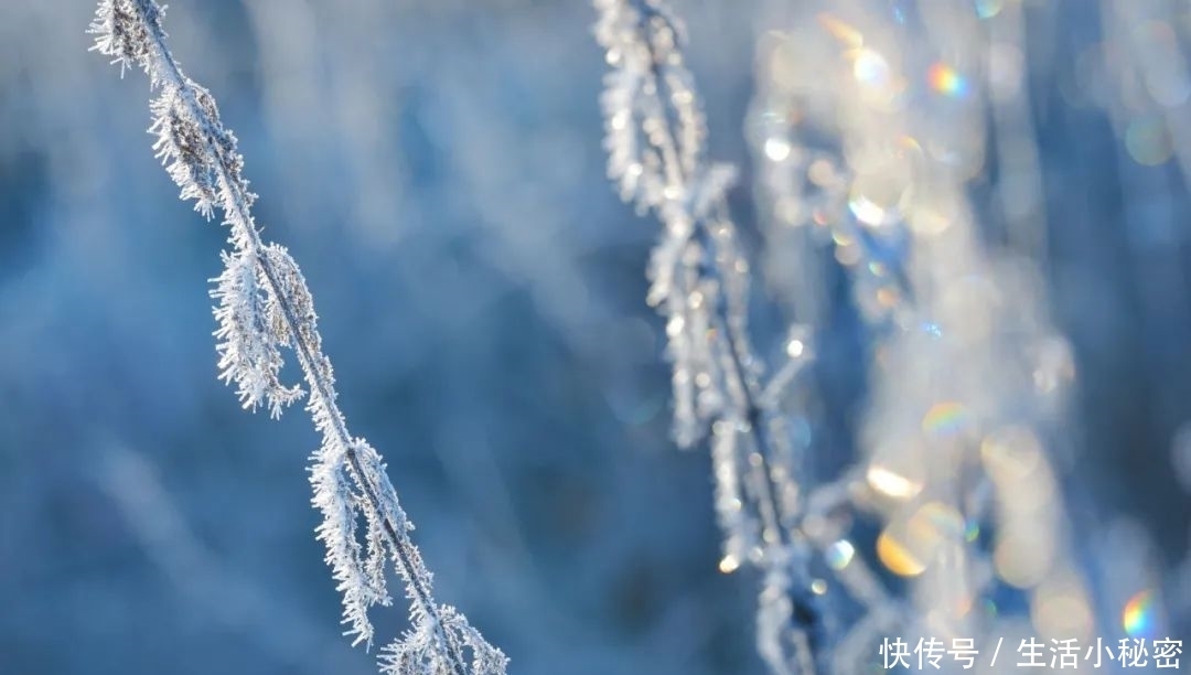 冰雪|今日大雪，享冰雪之乐也！