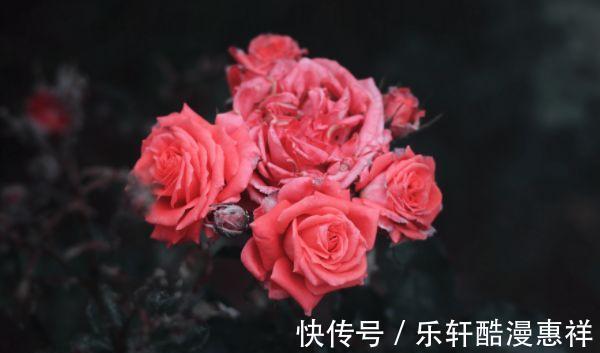 发展|2天后，好好把握，梦想成真，事业发展顺遂，财运亨通，生活无忧