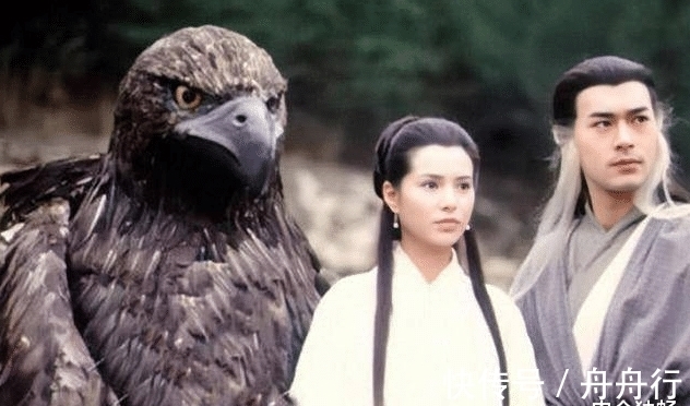 杨过#小龙女是怎么死的?金庸不敢明说,却借灭绝师太的话,道出真相