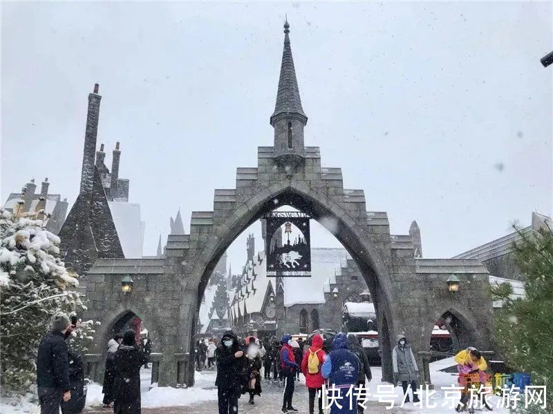 小雪|节气小雪丨天寒地冻，北京这里桃花却开了！（文末有福利）