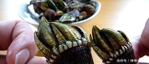 不到|世界上“最顶级”的海鲜,蓝鳍金枪鱼都不算啥,只有它有矿吃不到