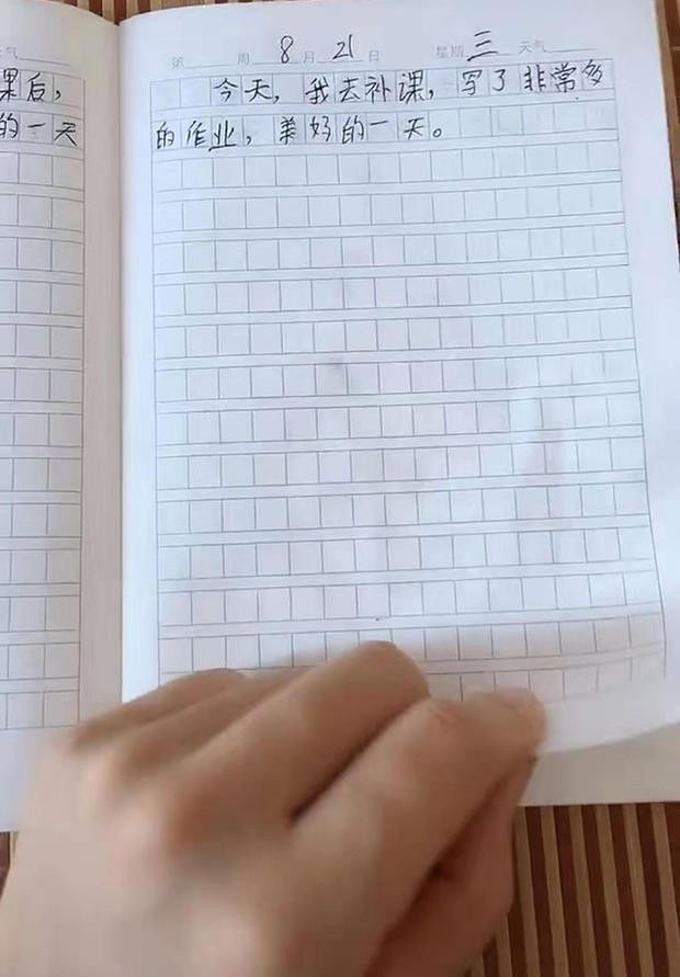 孩子|儿子“赶工期”写出来的日记,让妈妈无语,网友:有我当年的风范