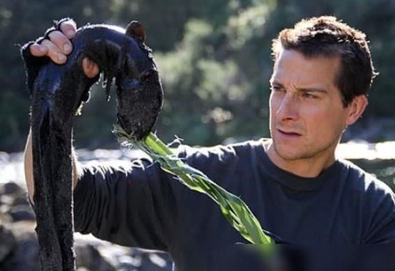 解雇|当年爆红“站在食物链顶端”的贝爷,为何突然不见了