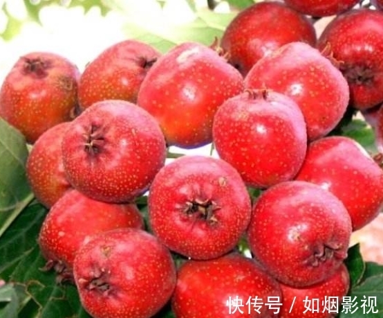 甘蔗|给“养胃”的人提个醒:这4种食物,被称为“伤胃大户”,尽量远离