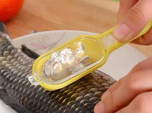 担心|担心高效肥烧根怎么办不如在家自制4种花肥,肥效久、见效慢