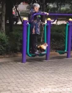 |搞笑GIF:大哥,咱村里的车中,就数你这高跟鞋敞篷车拉风