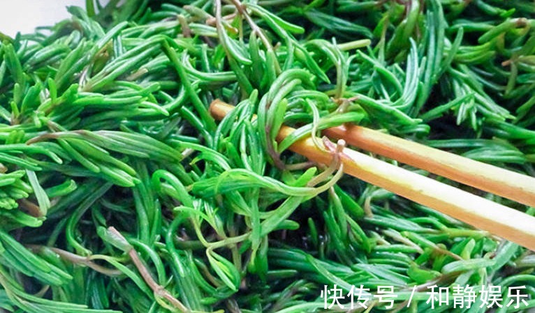 苋菜|天热，这3种野菜要多吃，比买的营养高，清肠消暑还补钙！