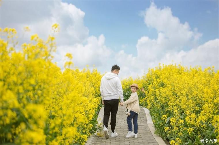 和我家的美男子欣赏大自然的美景