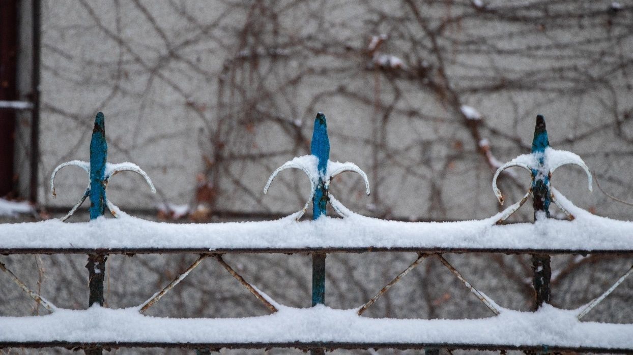 哈医大|【雪落象牙塔】哈医大：凭栏观雪 赏玉树银花