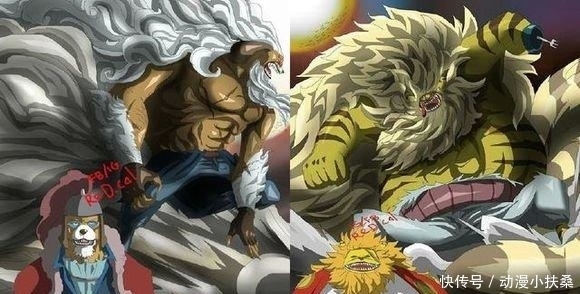猫蝮蛇|海贼王:罗杰团第九第十号成员确认,罗杰的航海士,战力媲美大将