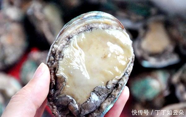海鲜|曾经的“天价”海鲜,如今卖出了“白菜价”,3元一只,随意吃