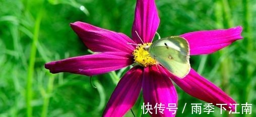 光宗耀祖|孩子出生在几点钟,孝心十足,日后必定是有用之才,光宗耀祖