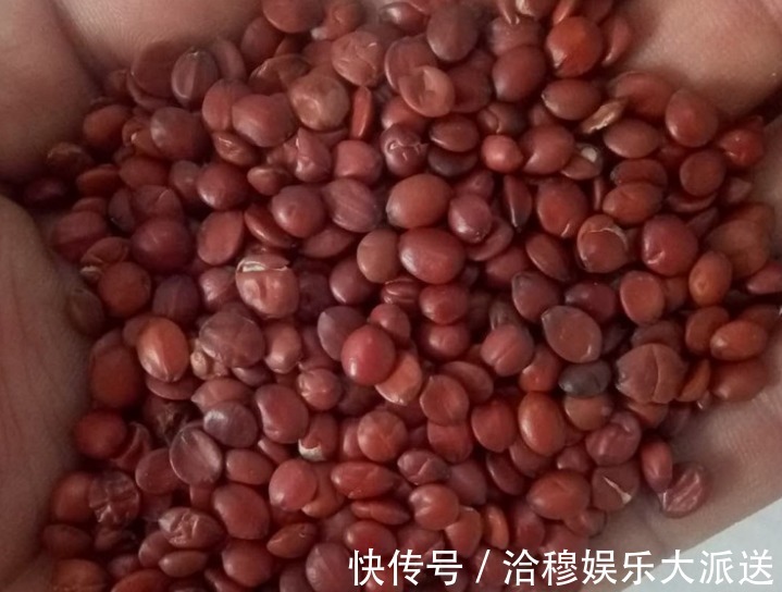 千金方|气血虚容易老,1个食疗方比吃10斤阿胶帮助还大,还花钱少!