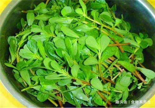 苦瓜素|会吃的人最健康，4蔬菜不错过，营养低脂，疏通血管，更有女人味