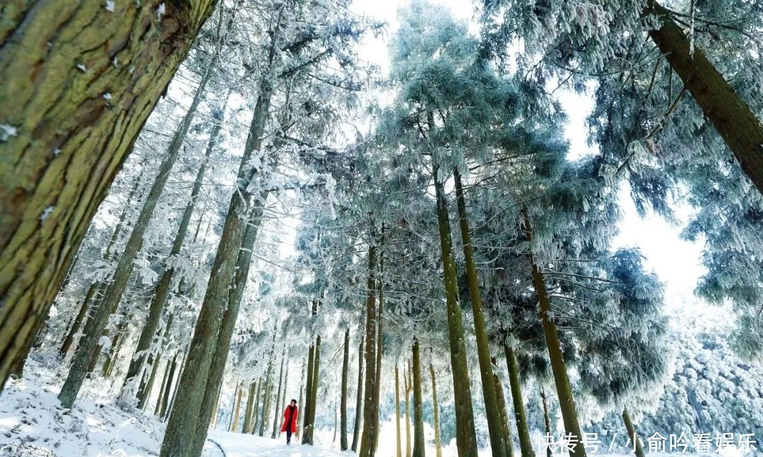 雪景|遂昌大美雪景图！让你一次看个够