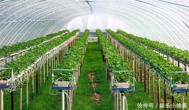 犹太人|以色列,这个国家厉害到了什么程度?