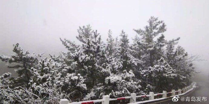 崂山|青岛·风情 崂山迎来12月初雪！