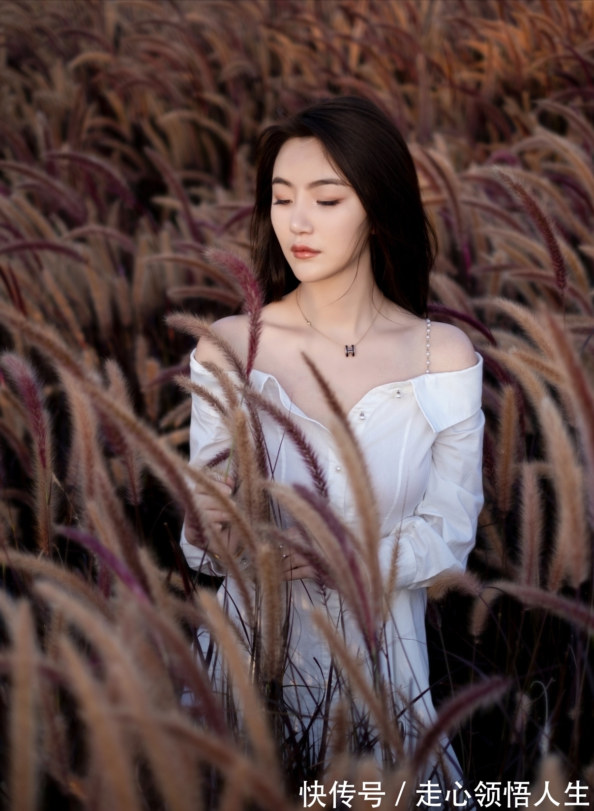 尘心&多少世间萦绕事,怎奈尘中参透。寂寂凭窗听,归叶秋声微扣