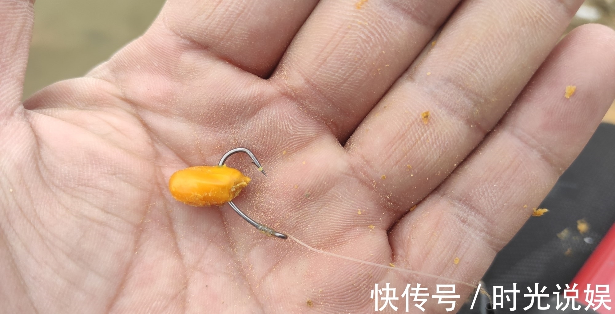 钓鲤鱼我就服这种鱼钩“从不跑鱼”伊势尼千又等钩都要靠边站