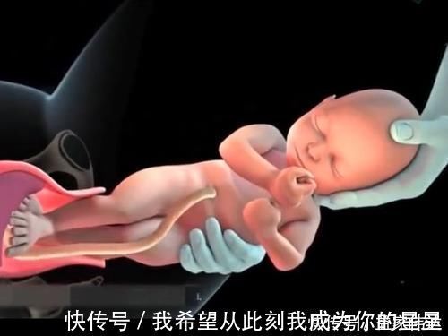 泪奔|顺产的全过程到底是怎样的,生而为人需了解,请勿泪奔