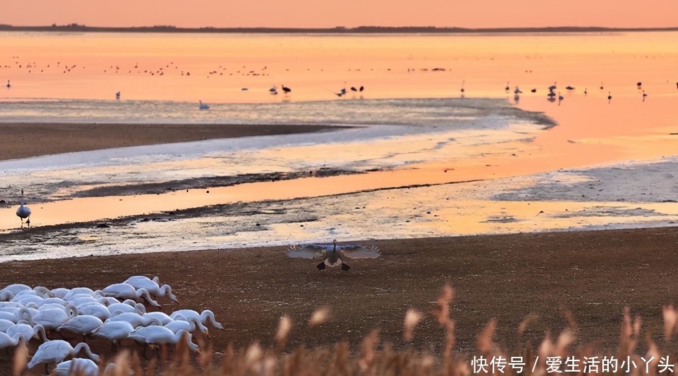 旅行|这才是12月最美旅行地，看到第1个就心动了，有你想去的吗？