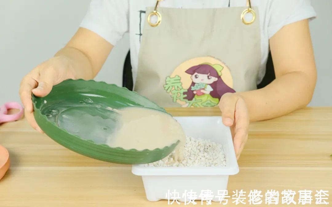 花量|6种花别养老桩,越老越不开花,赶紧扦插备份