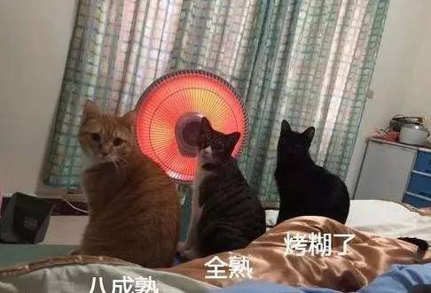 |笑话:别傻了,这么热的天外面怎么可能有人