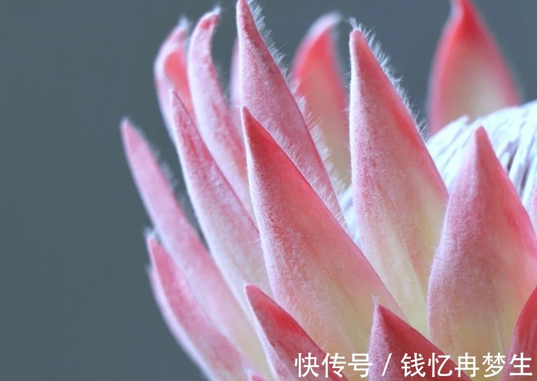 曾国藩&《道德经》有格局的人,守其雌,守其黑,守其辱,反而,有大作为