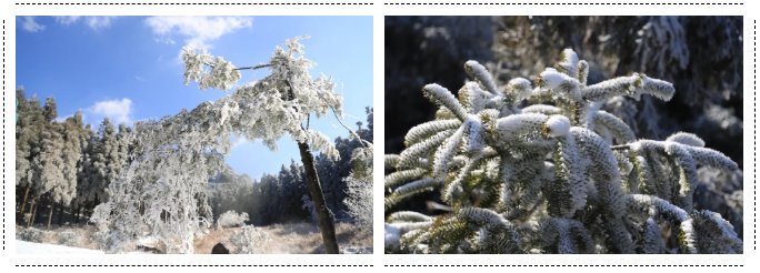 冬日不用去远方！遂昌这处“雪乡”美的已如童话世界~