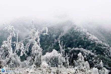 美成|下雪啦！广西多地出现雪景雾凇景观，美成仙境！附赏雪攻略