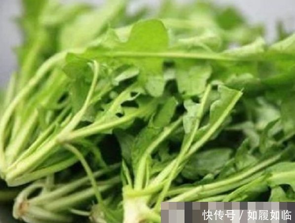 苋菜|埋没在田间的四种抗癌野菜,多数人嫌脏不吃,但是营养价值高